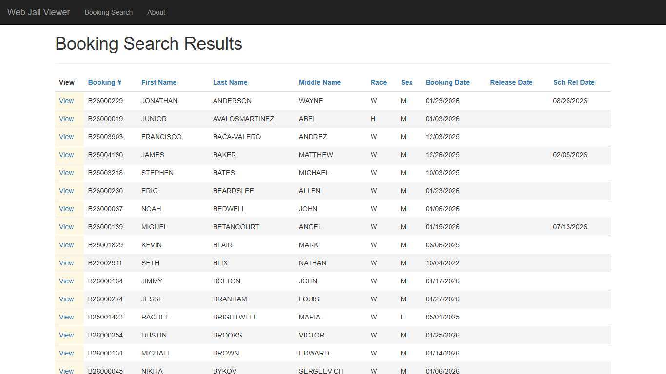 BookingSearchDetail - Web Jail Viewer